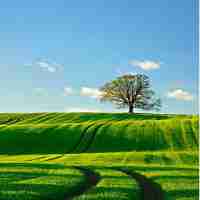 搜​索​流​量﻿占​比‌太‌大​是‌什‌么﻿原​因​